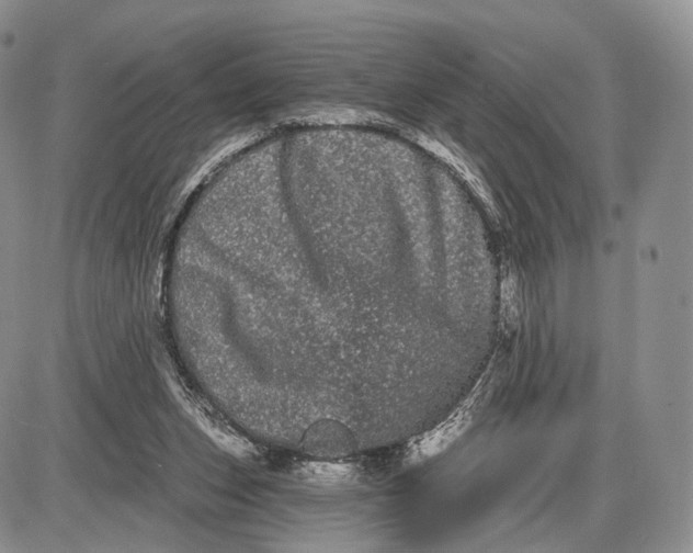 X0000085040159200703191242