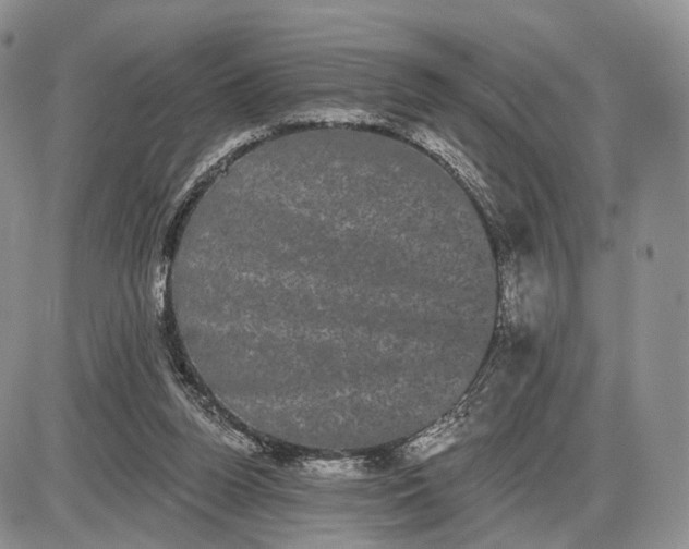 X0000085040160200703191242