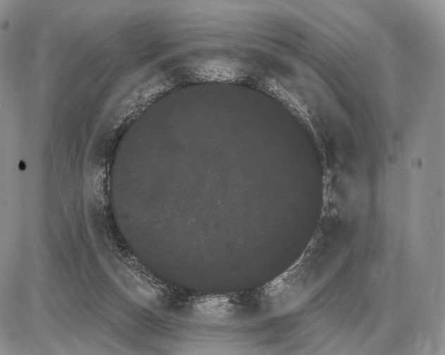 X0000085040162200703191242