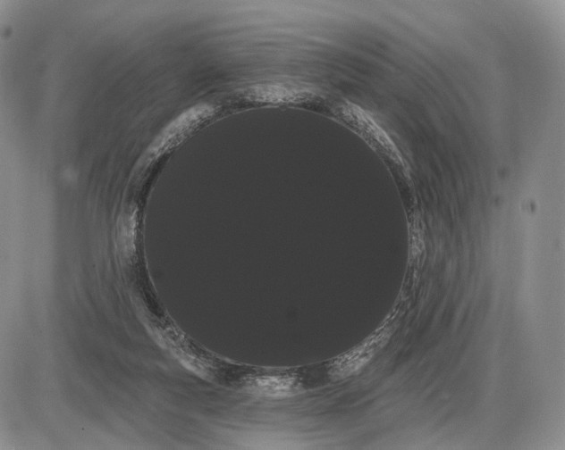 X0000085040163200703191242