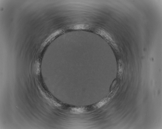 X0000085040164200703191242