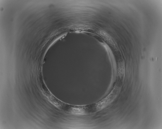 X0000085040167200703191242