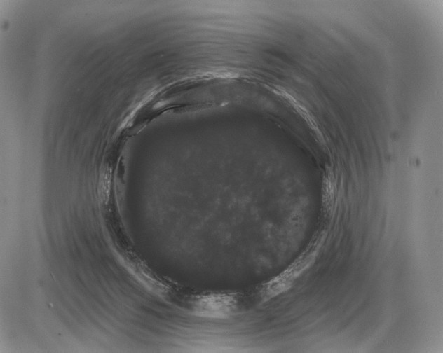 X0000085040168200703191242