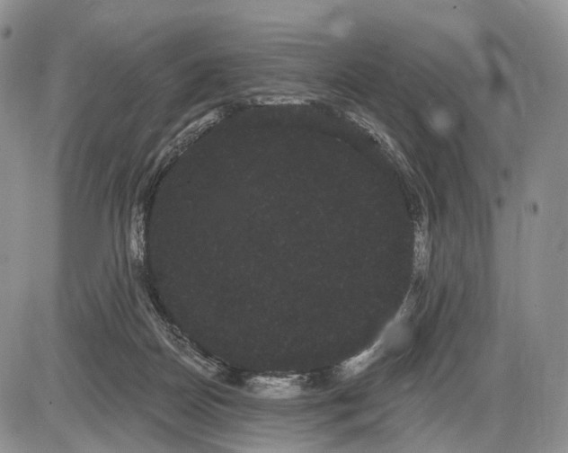 X0000085040170200703191242