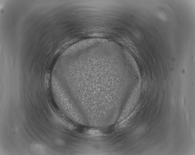 X0000085040171200703191242