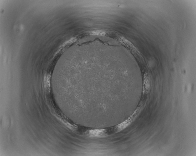 X0000085040172200703191242