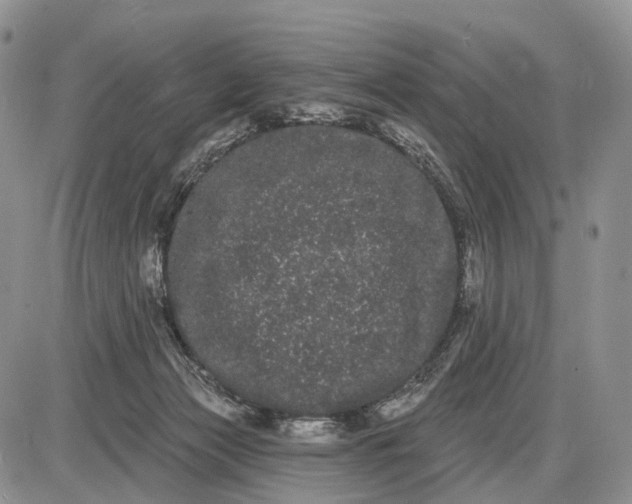 X0000085040173200703191242