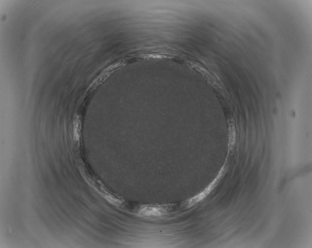 X0000085040174200703191242