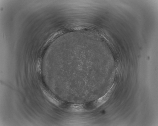 X0000085040175200703191242