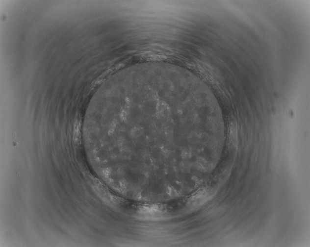 X0000085040177200703191242