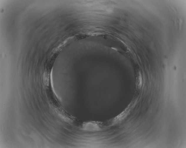 X0000085040180200703191242