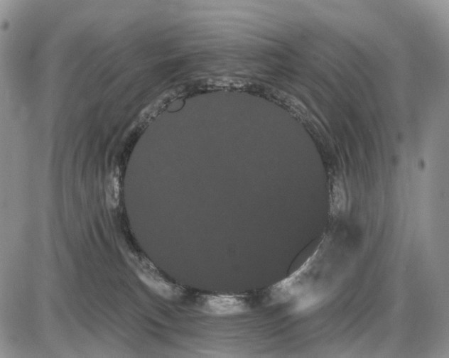 X0000085040183200703191242