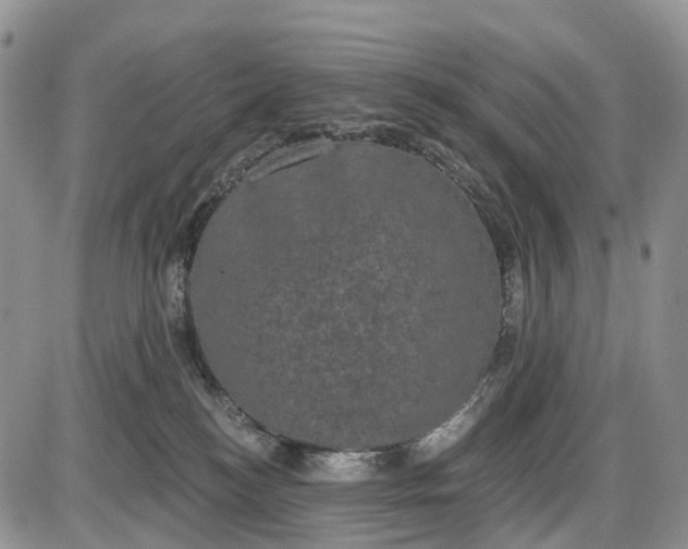 X0000085040184200703191242