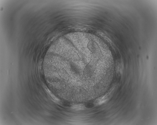 X0000085040185200703191242