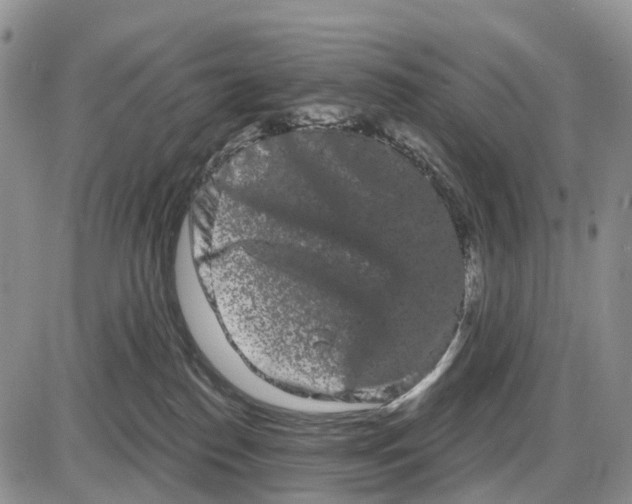 X0000085040186200703191242