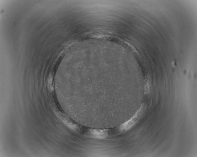 X0000085040187200703191242