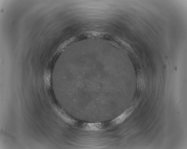 X0000085040188200703191242