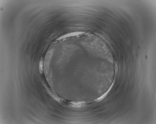 X0000085040190200703191243