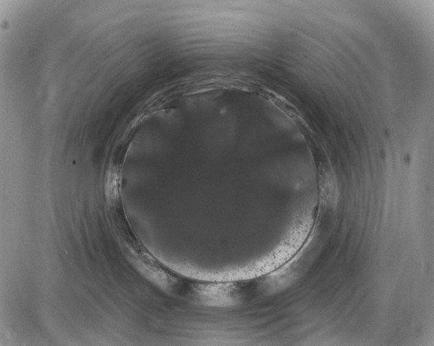 X0000085040191200703191243