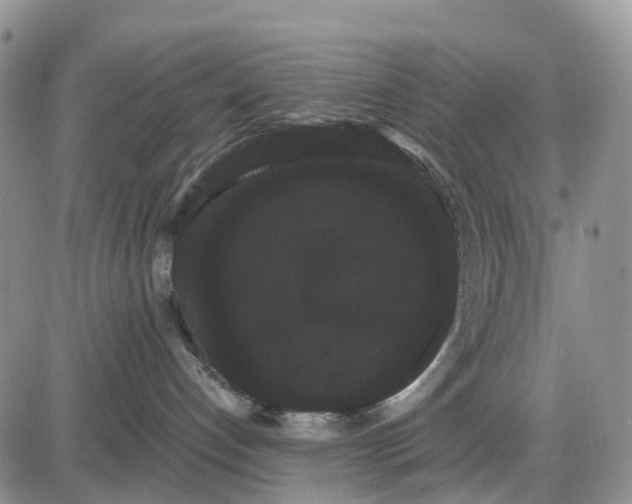 X0000085040192200703191243