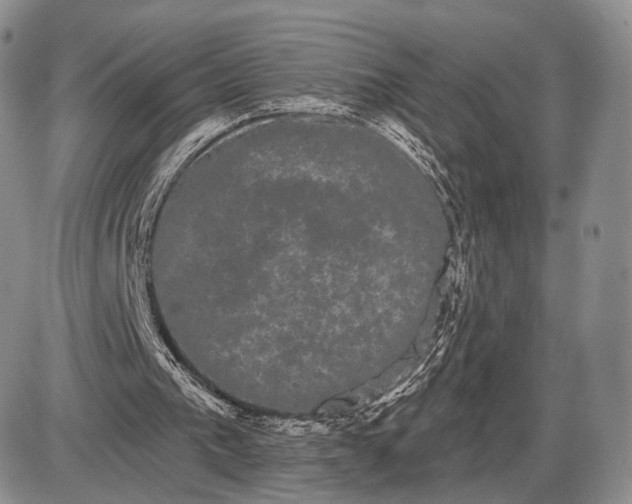 X0000085040193200703191242