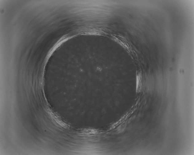 X0000085040195200703191242