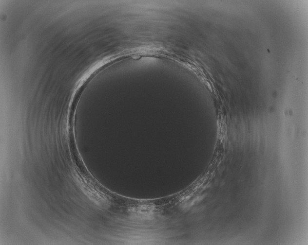 X0000085040196200703191242