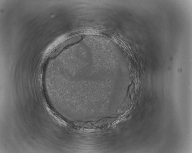 X0000085040197200703191242