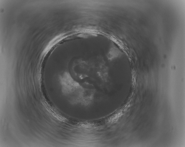 X0000085040199200703191242