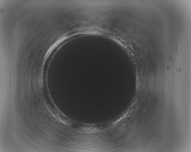 X0000085040200200703191242