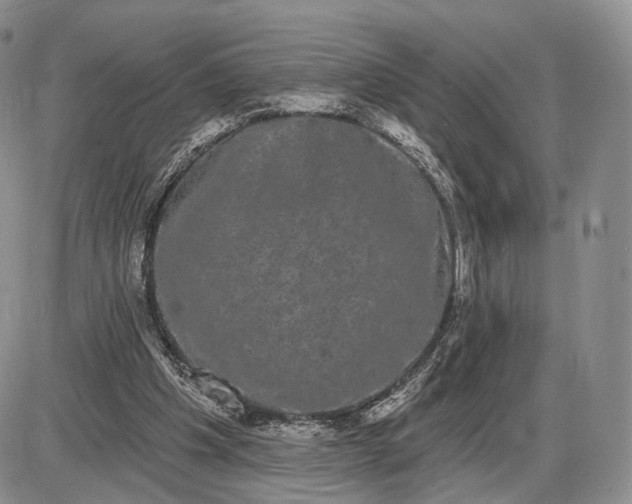 X0000085040201200703191242