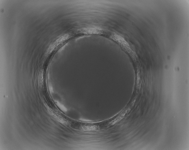 X0000085040202200703191242