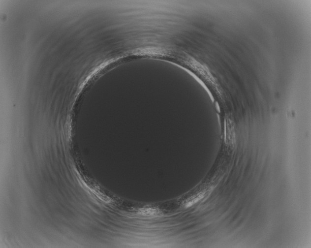 X0000085040204200703191242