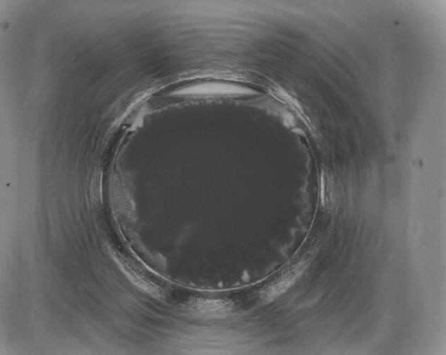 X0000085040205200703191242