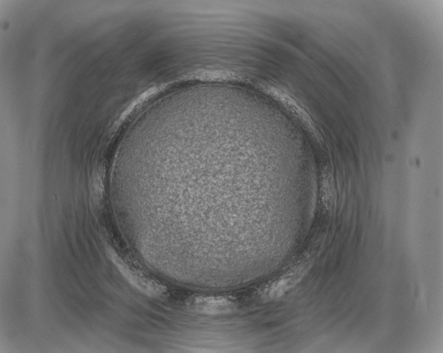 X0000085040208200703191241