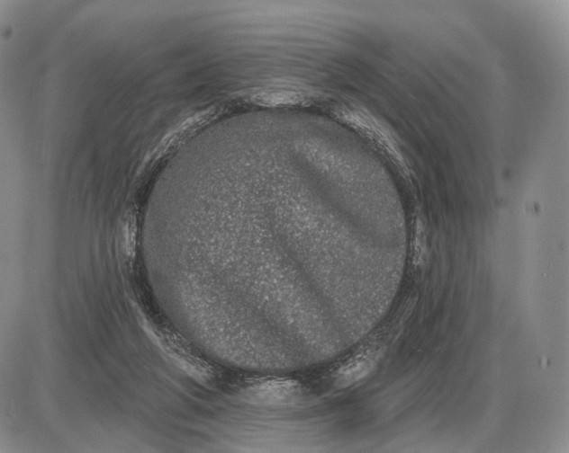 X0000085040210200703191241