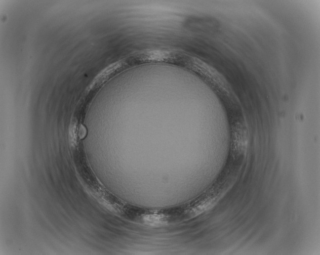 X0000085040216200703191241