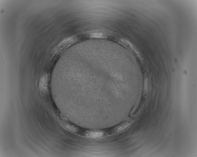 X0000085040217200703191241