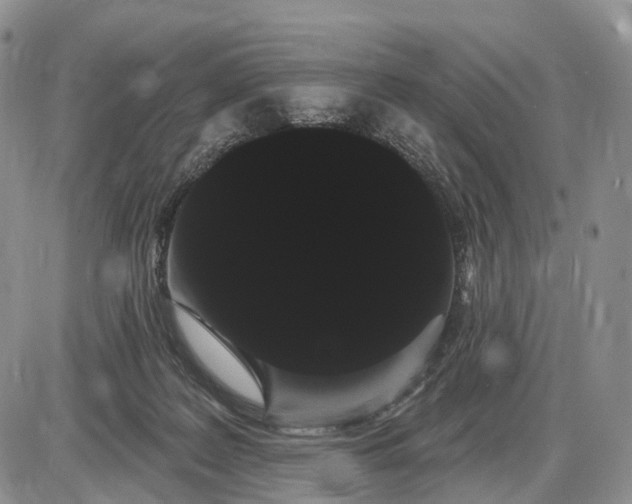 X0000085040219200703191241