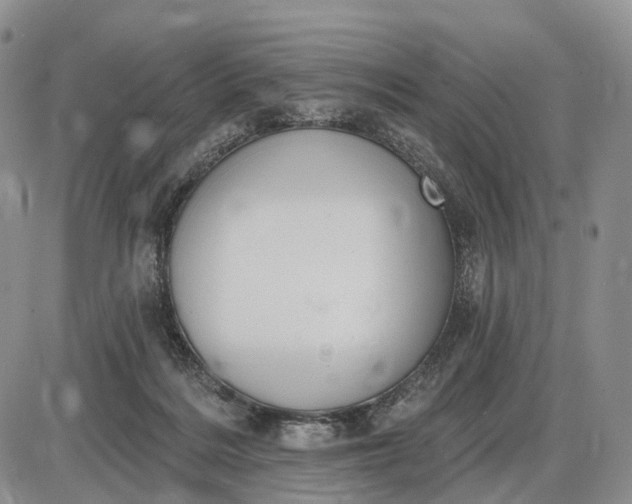 X0000085040220200703191241