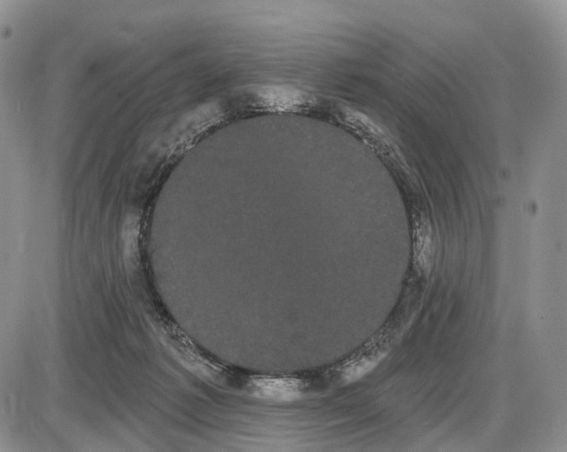 X0000085040221200703191241