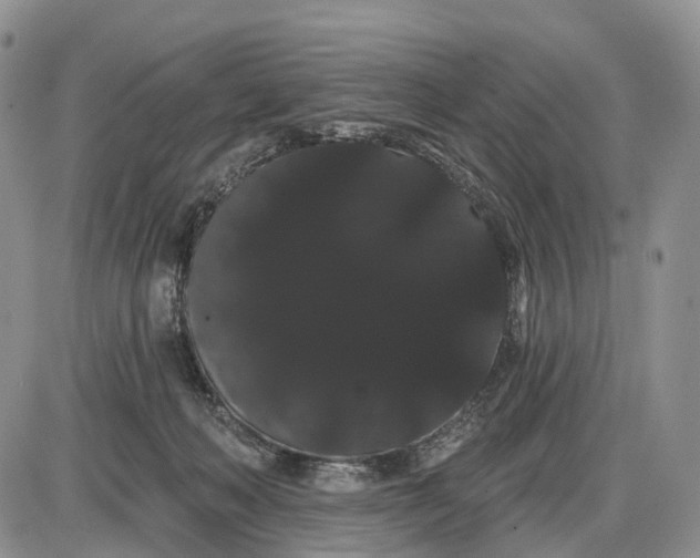 X0000085040222200703191241