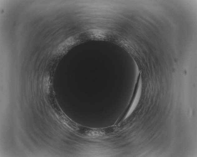 X0000085040223200703191241