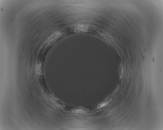 X0000085040224200703191241