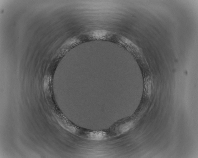 X0000085040225200703191241