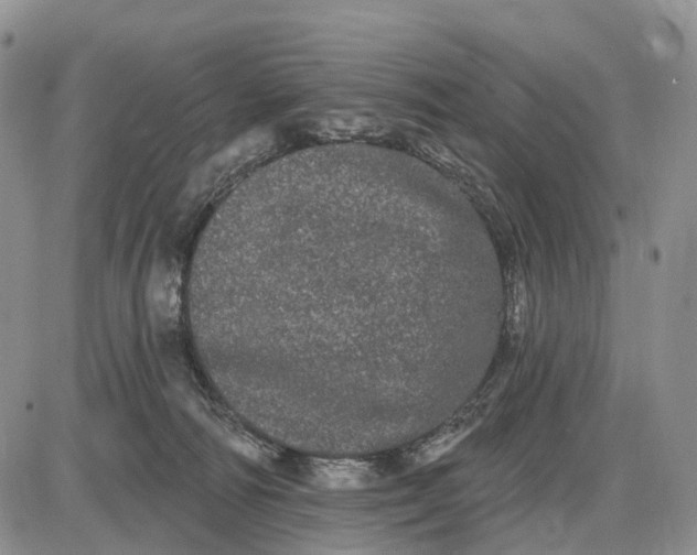 X0000085040226200703191241