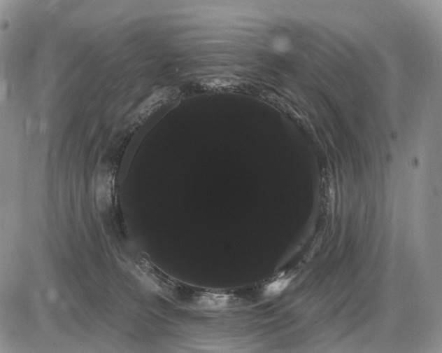 X0000085040227200703191241