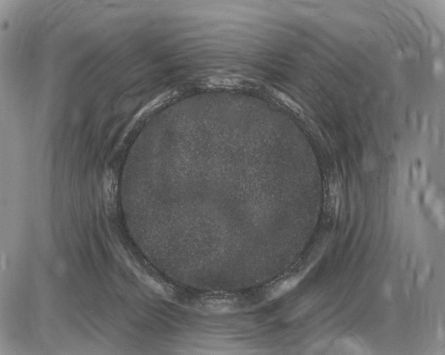 X0000085040228200703191241