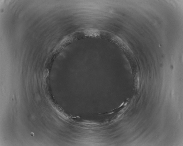 X0000085040229200703191241