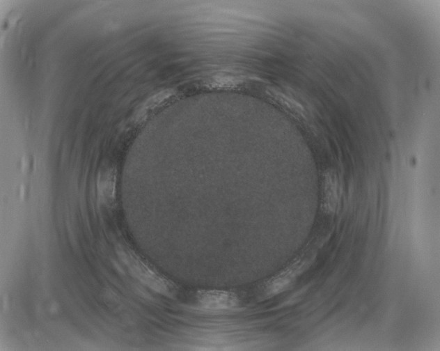 X0000085040230200703191241